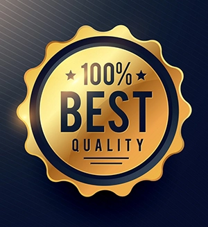 Best Quality CPA Review Program
